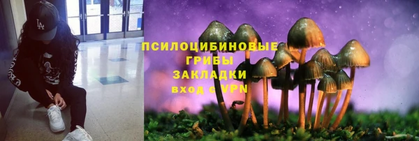 PSILOCYBIN Дмитриев